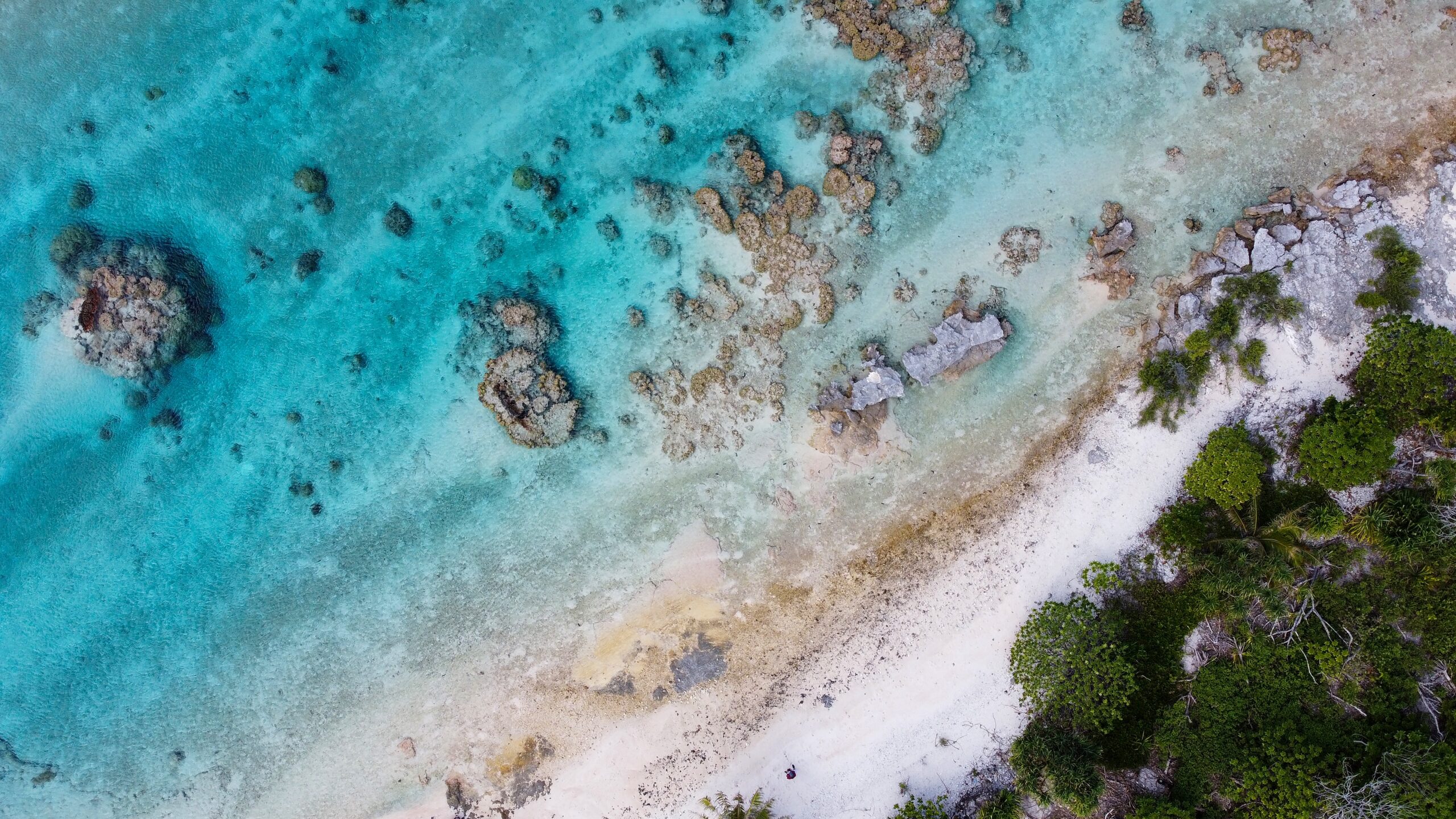 Tuamotu Eilanden, Frans-Polynesië