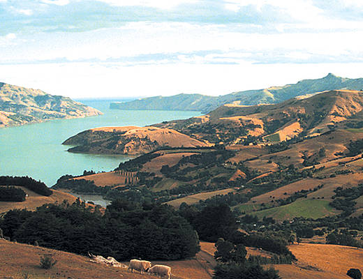 Classic New Zealand Wine Trail