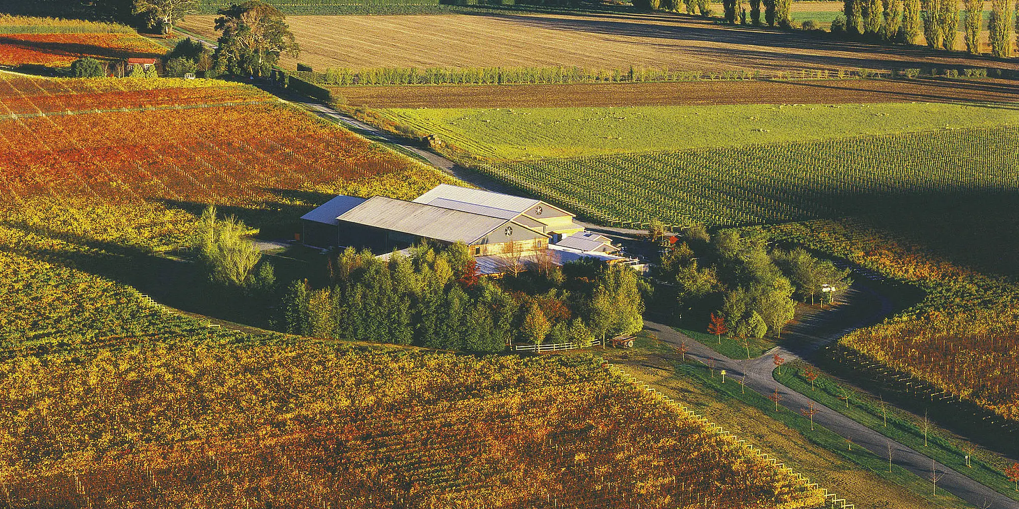 Classic New Zealand Wine Trail