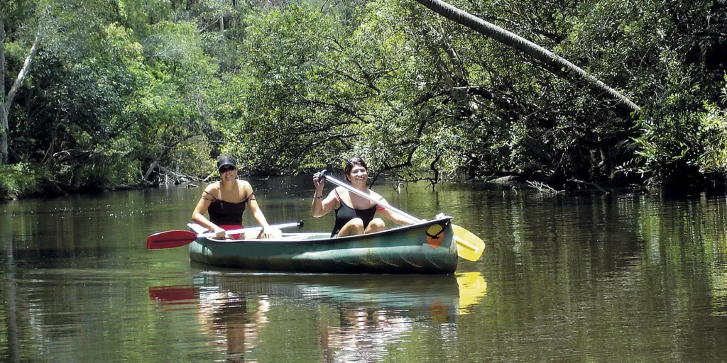 Noosa Everglades, Kanotocht