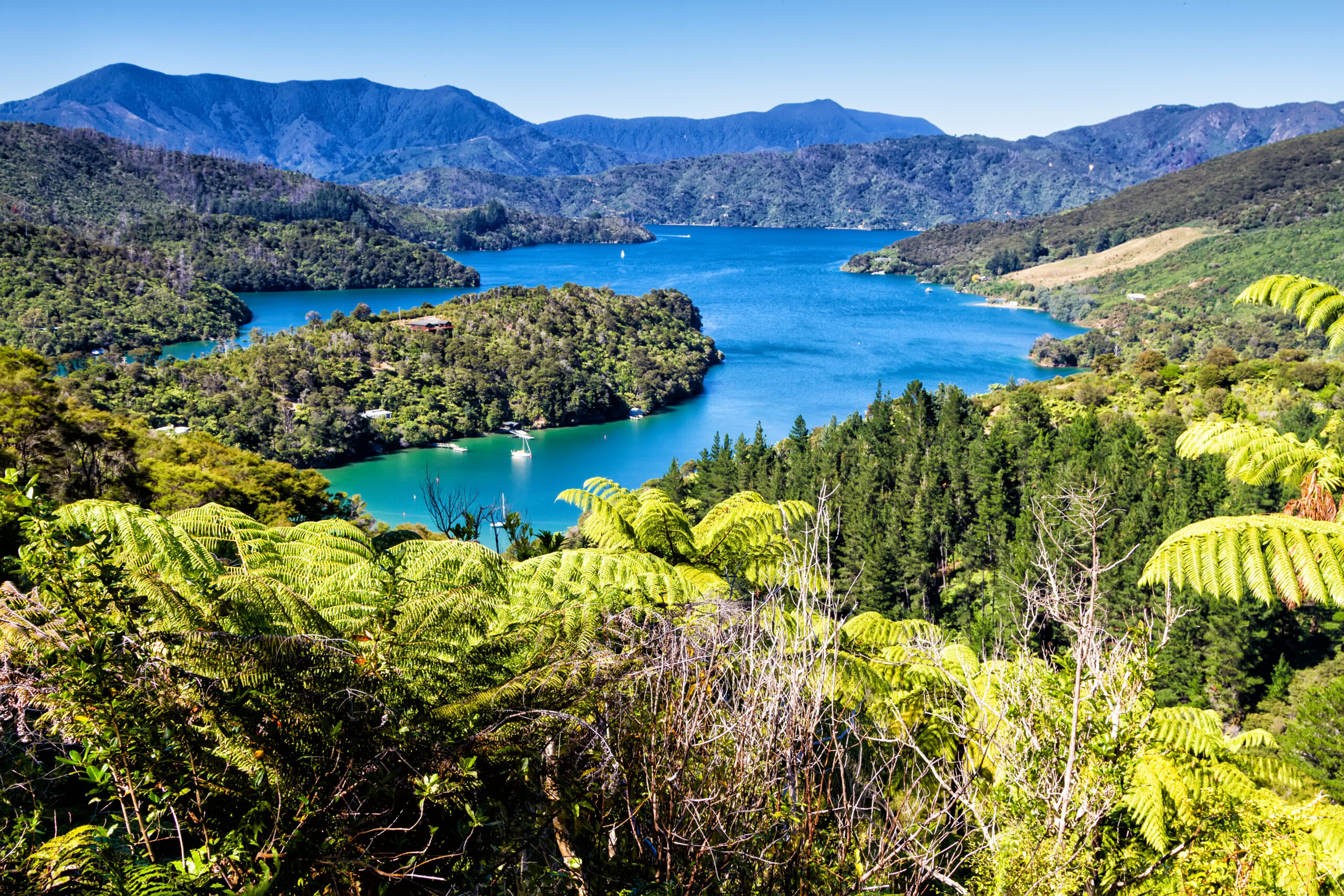 Marlborough Sounds