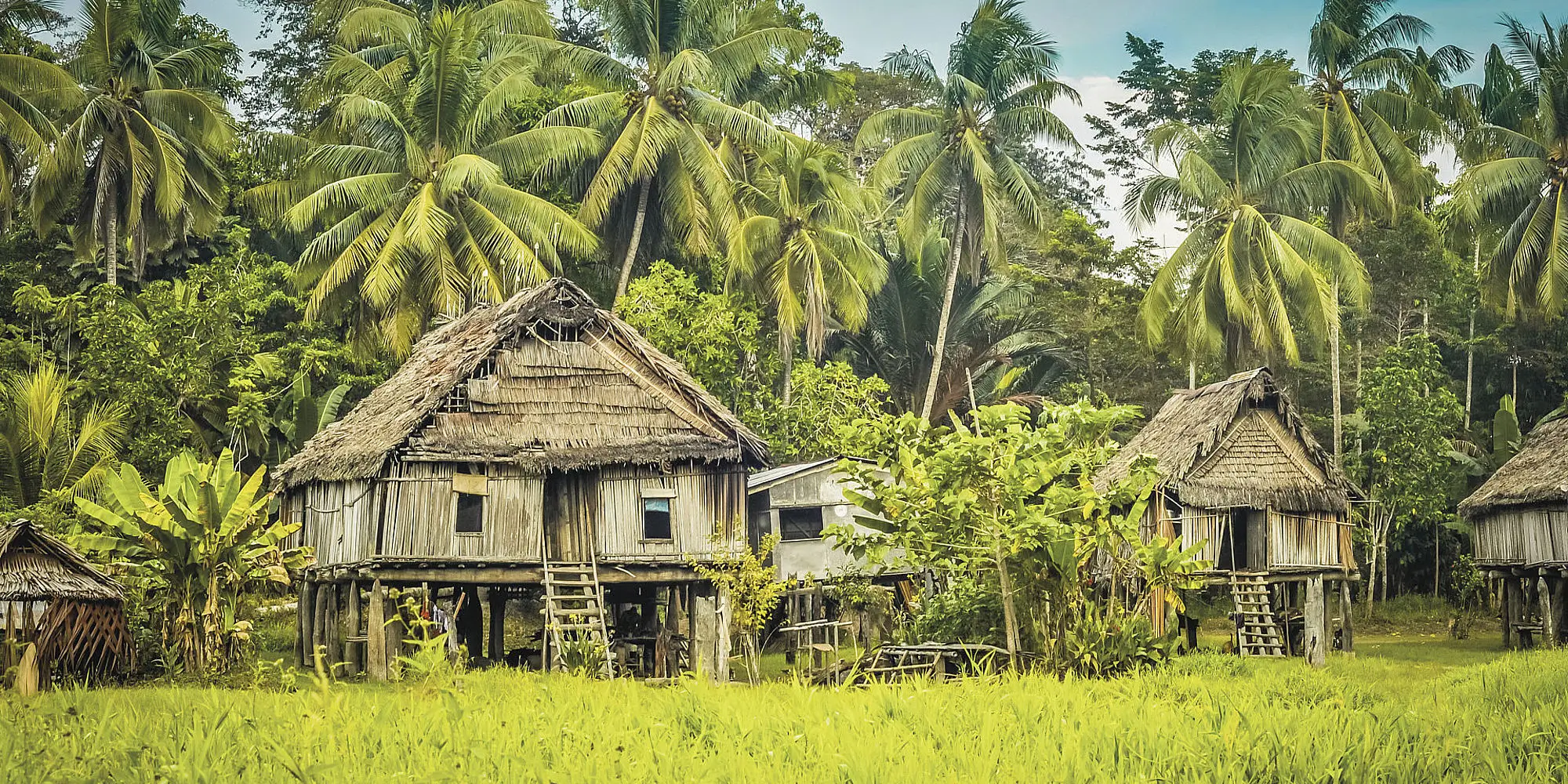 Papua New Guinea Highlights