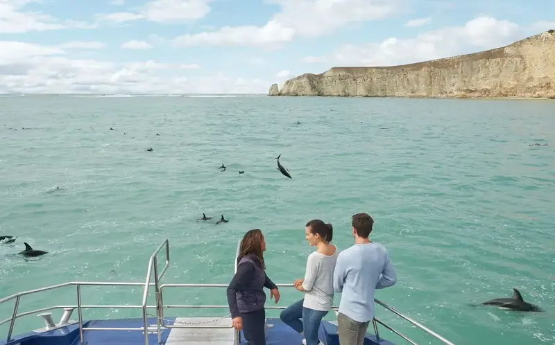 Rondreis Nieuw-Zeeland